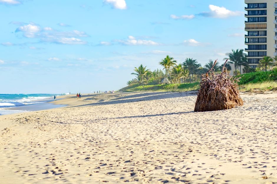 Best Medicare Enrollment Assistance Near West Palm Beach 2026